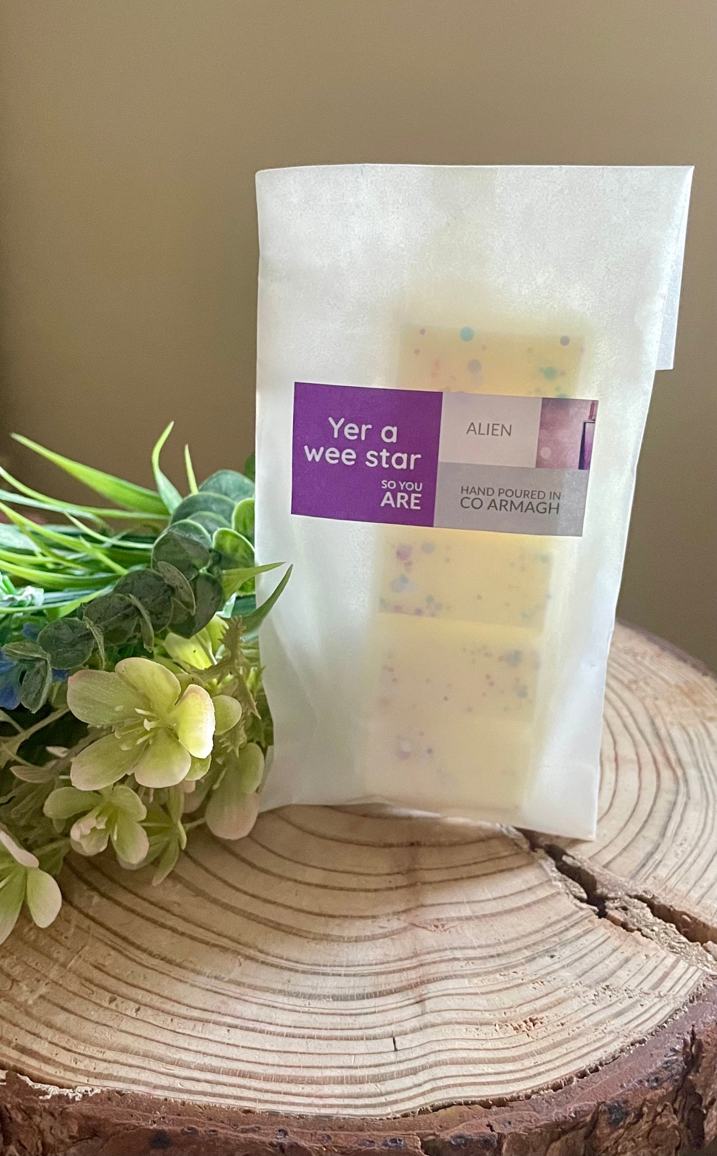 ‘Yer a wee star so you are’ Alien, 50g Wax Melt