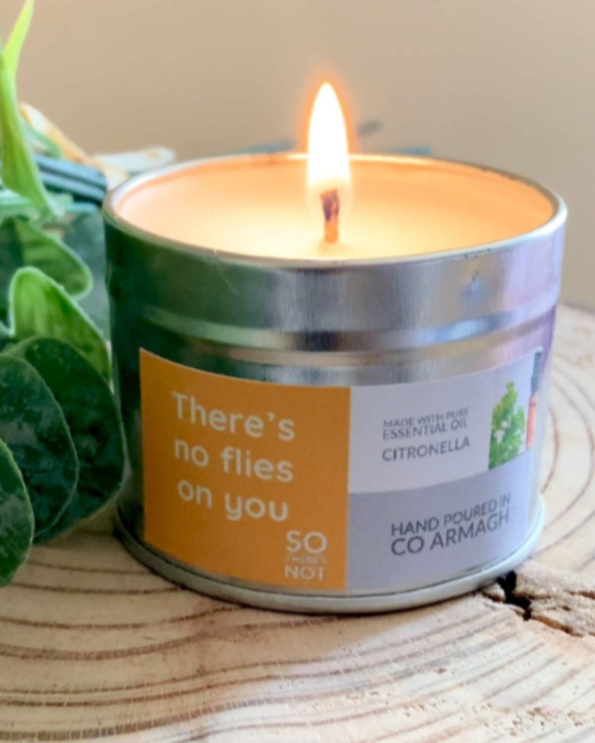 ‘There’s no flies on you so there’s not’ Pure Essential Oil 96g Candle Citronella